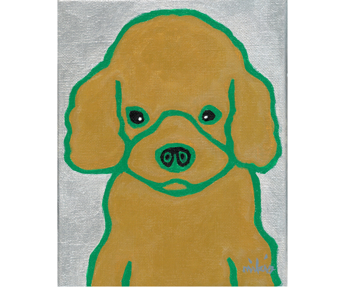 Apricot Toy Poodle