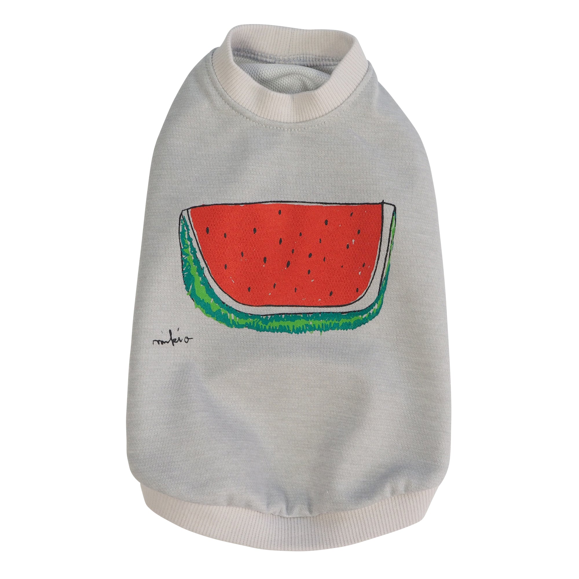 DOGすいかドライTシャツ Ash あか