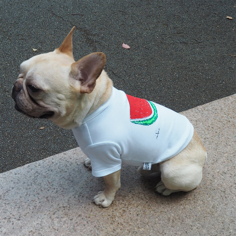 DOGすいかTシャツ あか