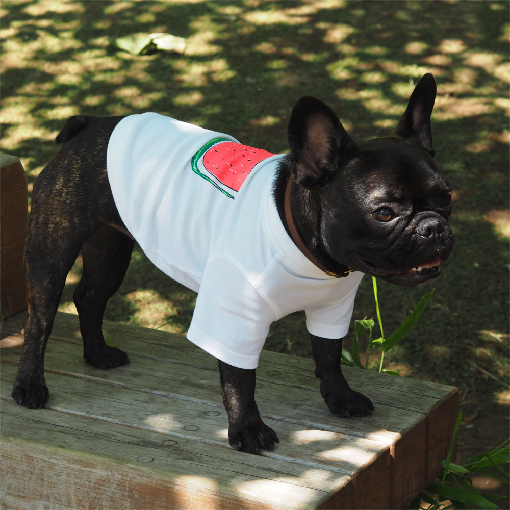 DOGすいかTシャツ あか