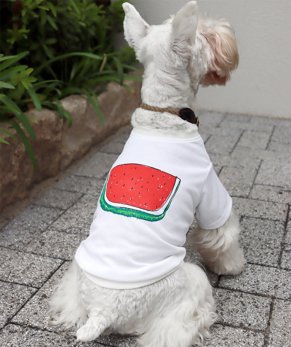 DOGすいかドライTシャツ White あか