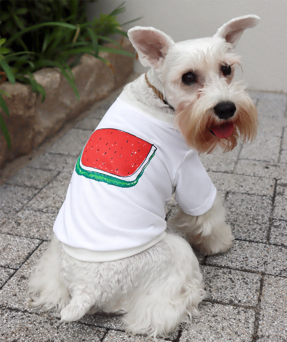 DOGすいかドライTシャツ White あか