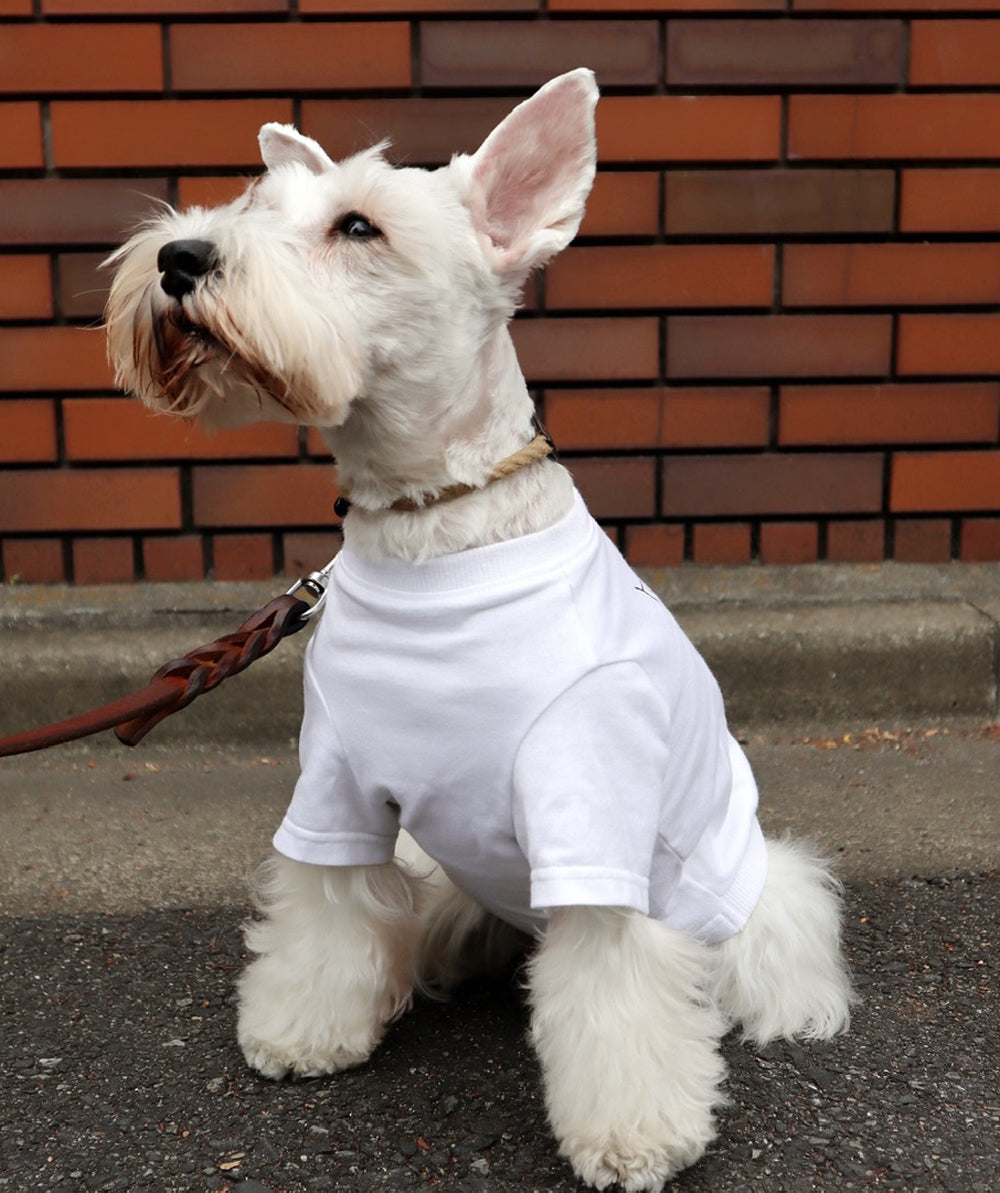 DOGこいのぼりＴシャツ