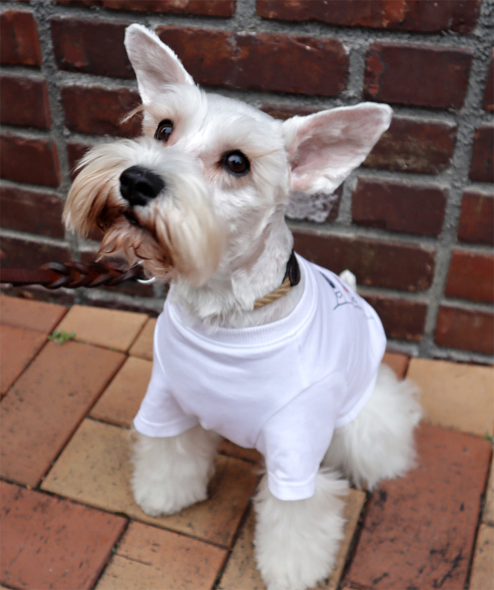 DOGこいのぼりTシャツ
