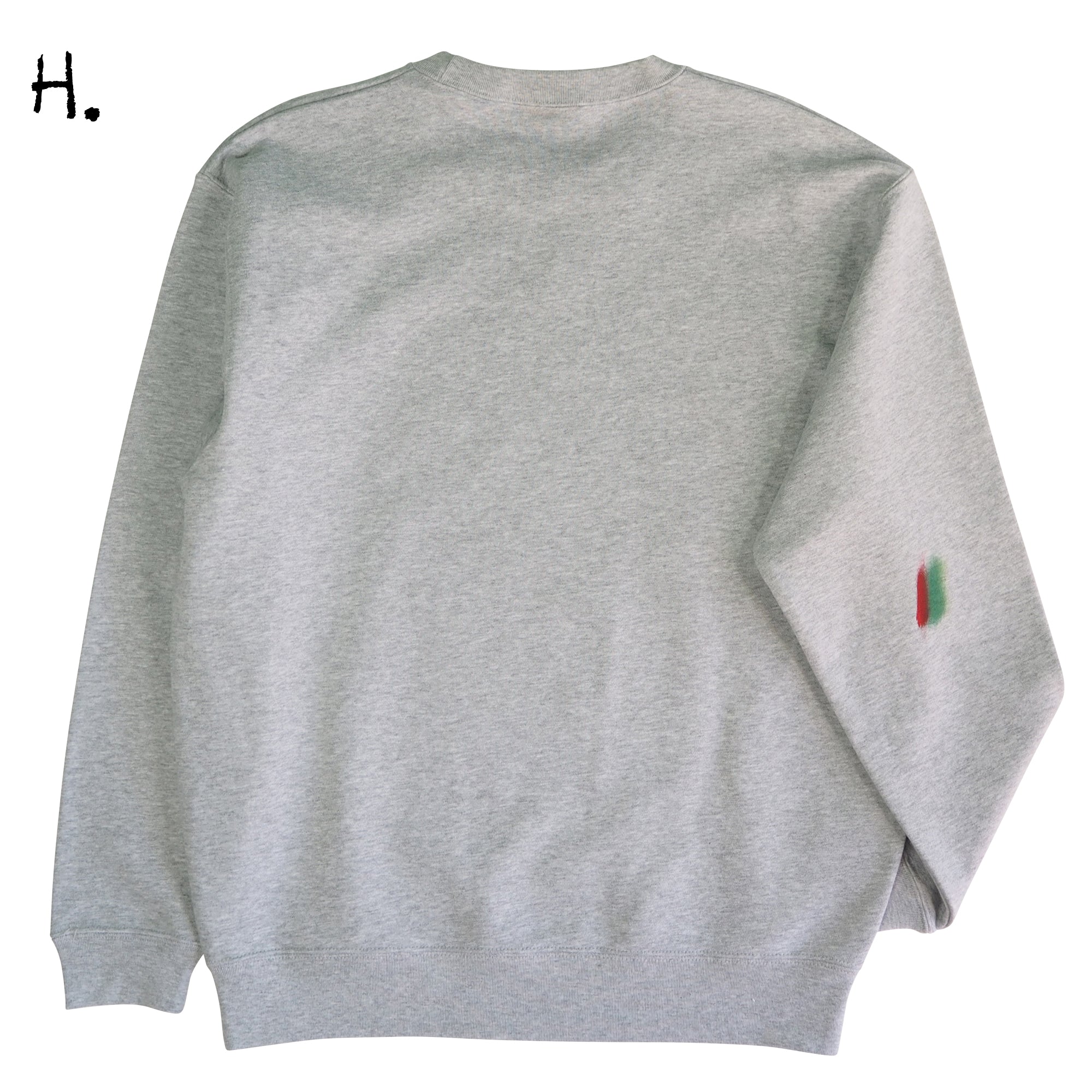 Mikioのはくとうわしトレーナー大人用 Lsize-H