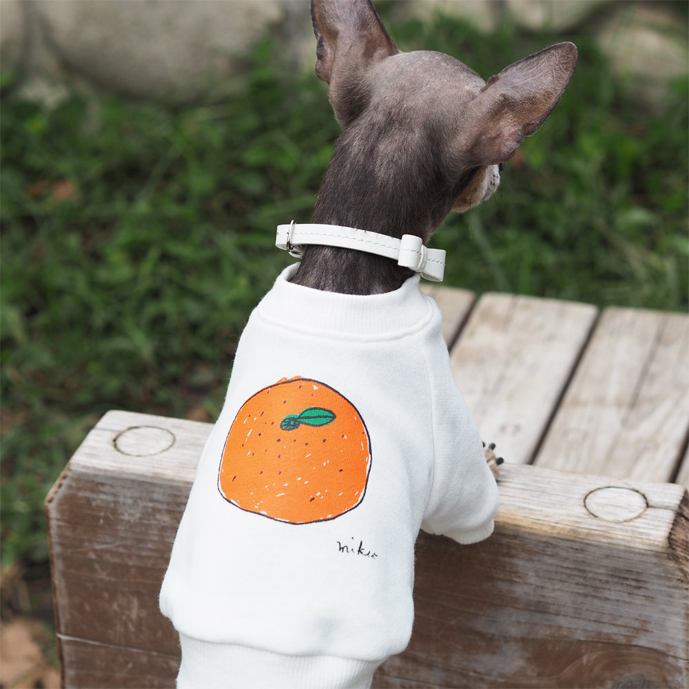DOGみかん長袖スウェット