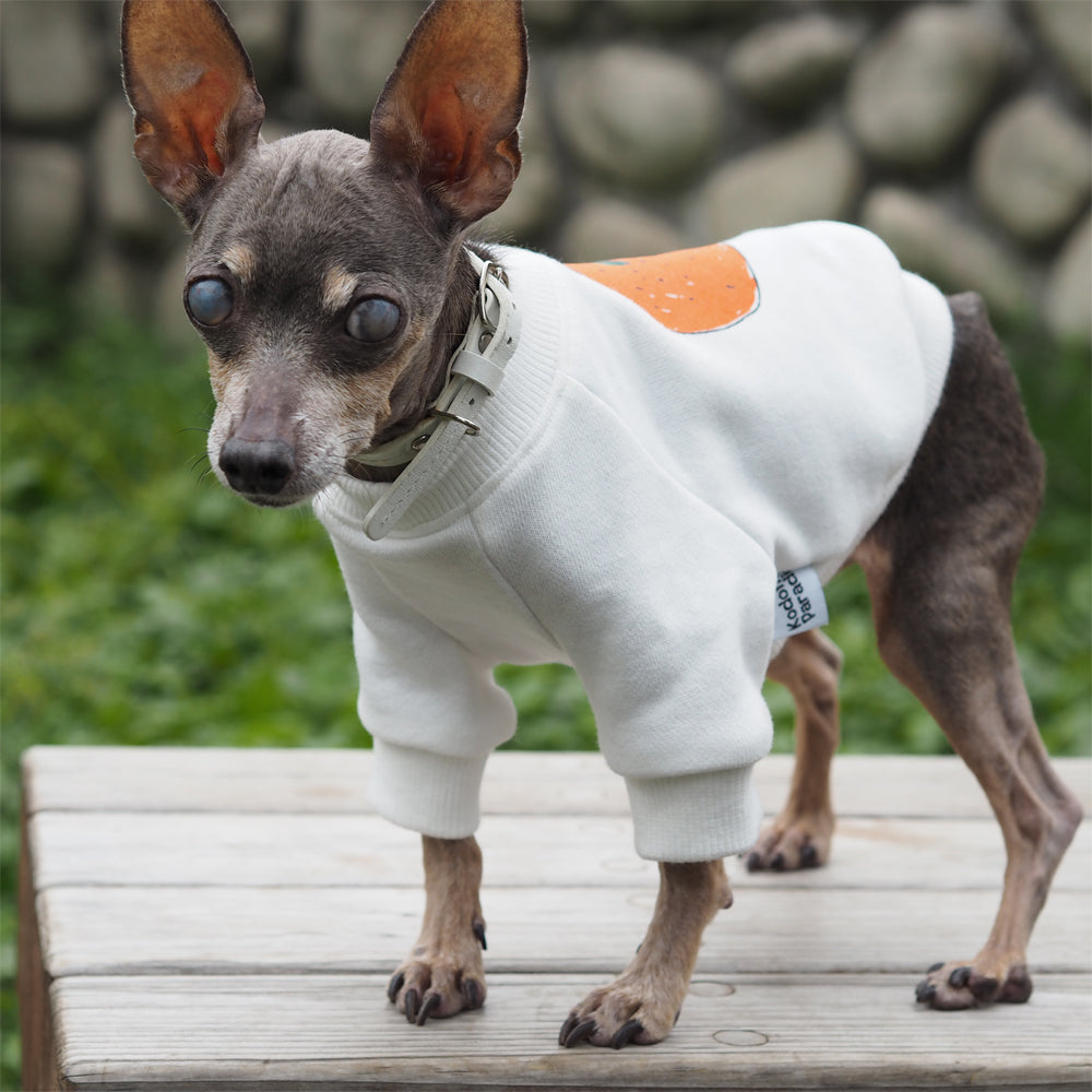 DOGみかん長袖スウェット