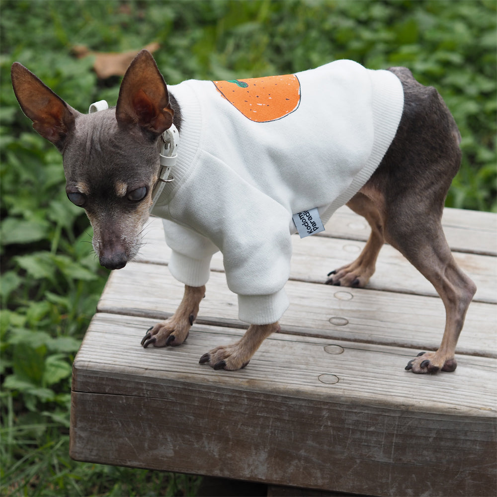DOGみかん長袖スウェット