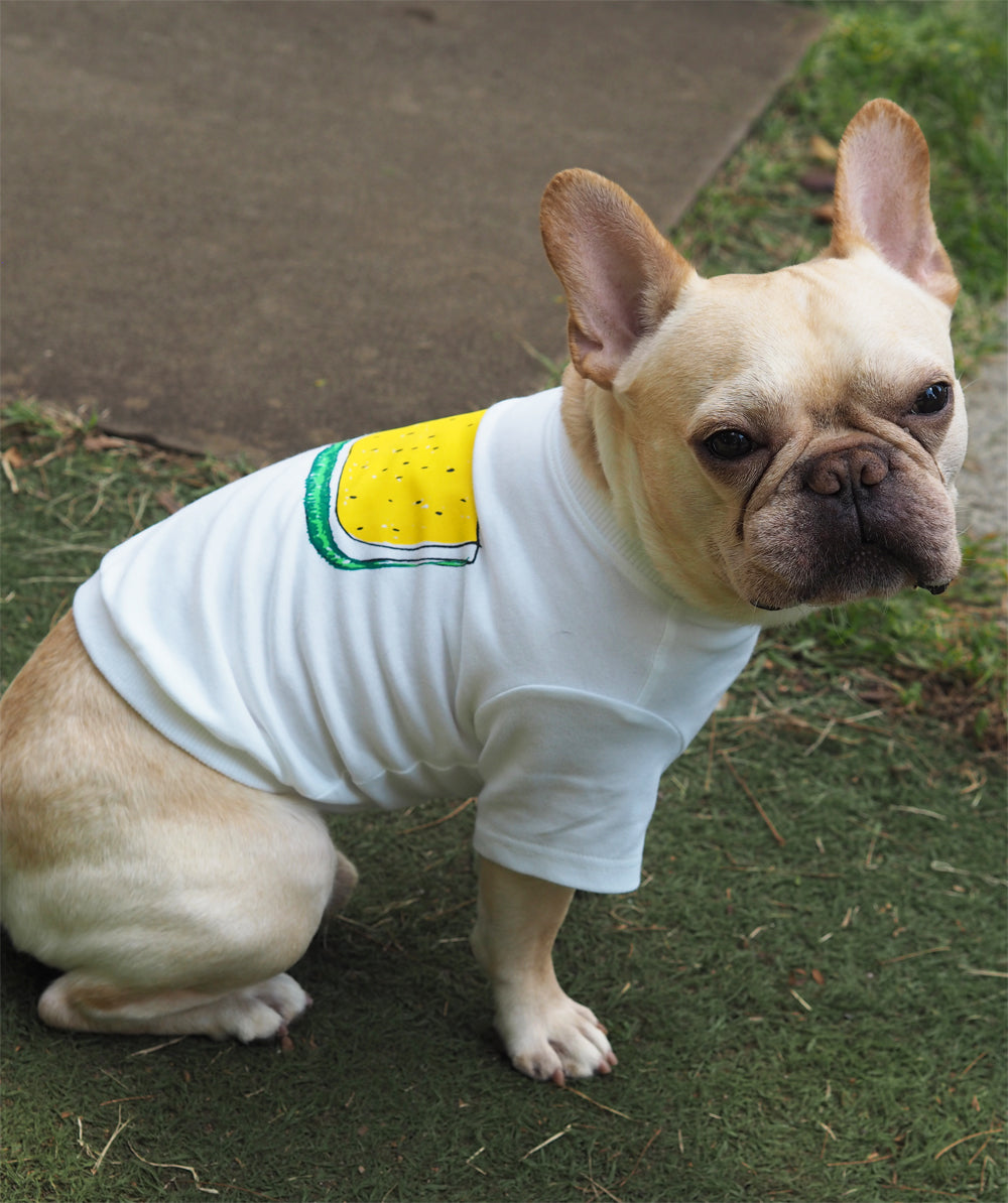 DOGすいかTシャツ きいろ