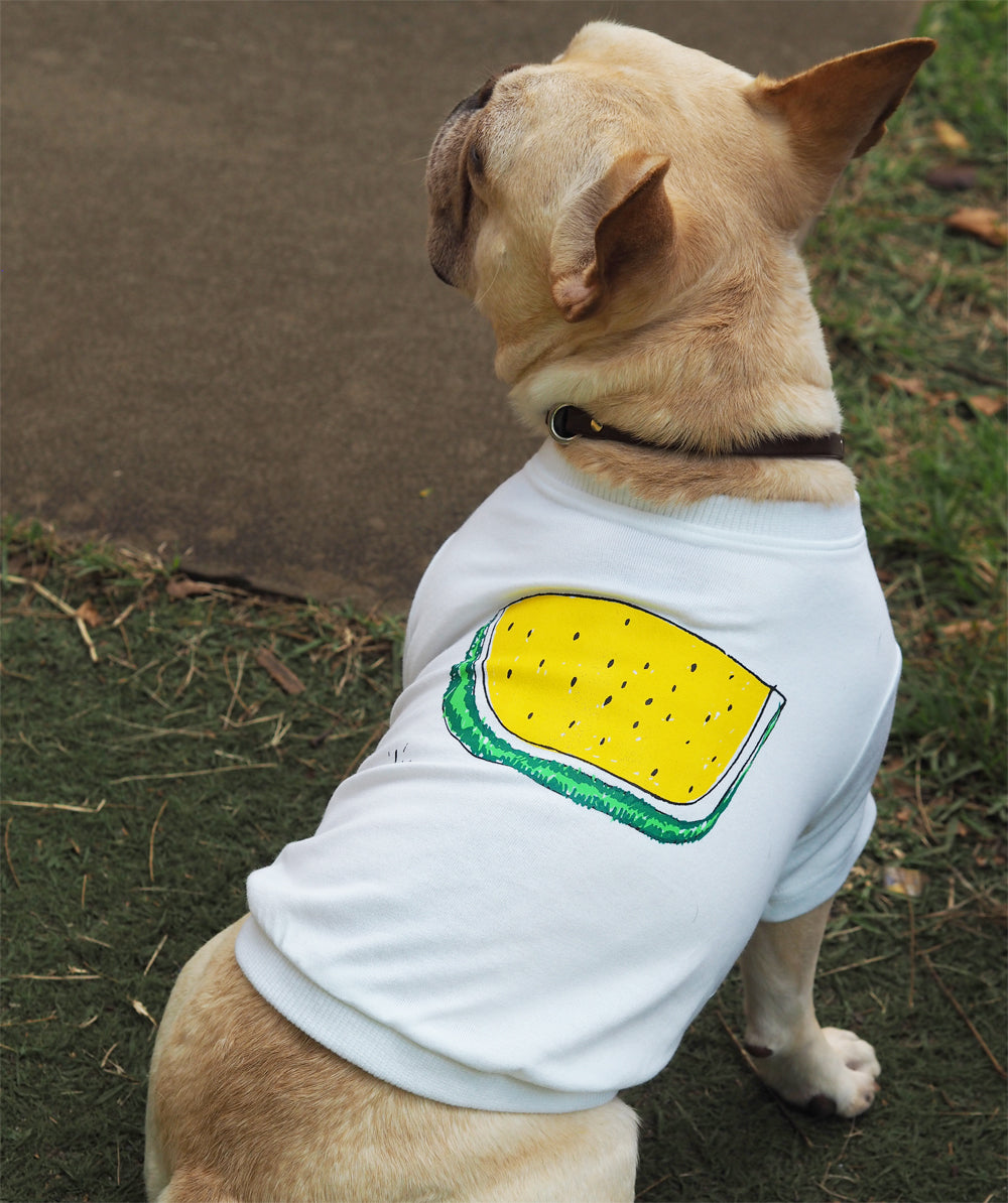 DOGすいかTシャツ きいろ