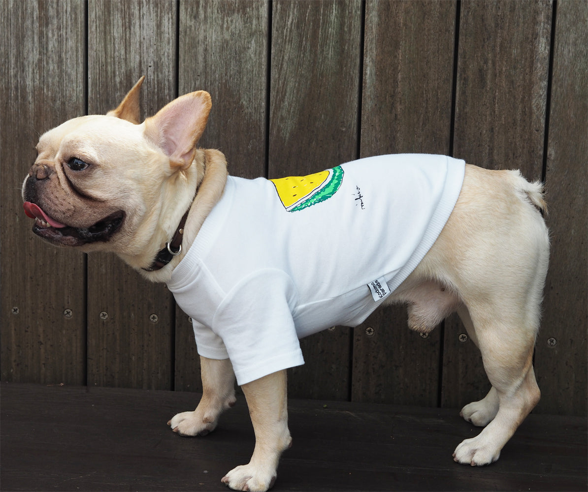 DOGすいかTシャツ きいろ