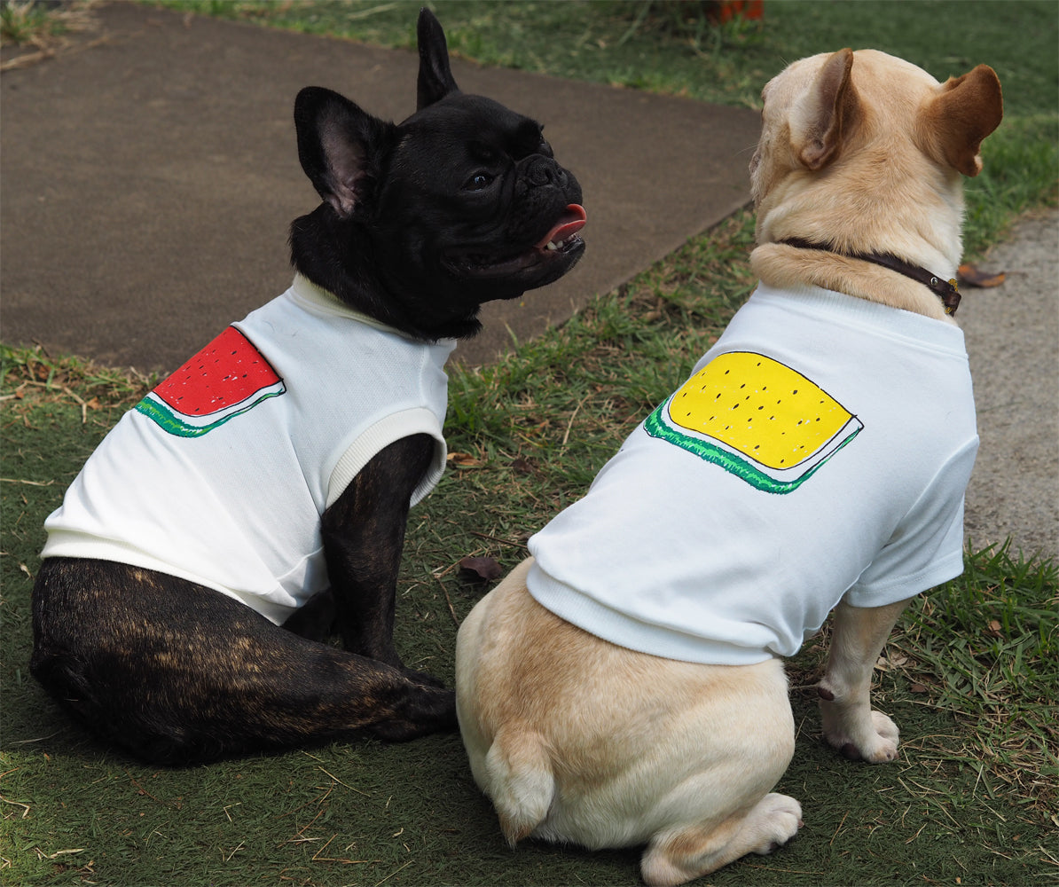 DOGすいかTシャツ きいろ