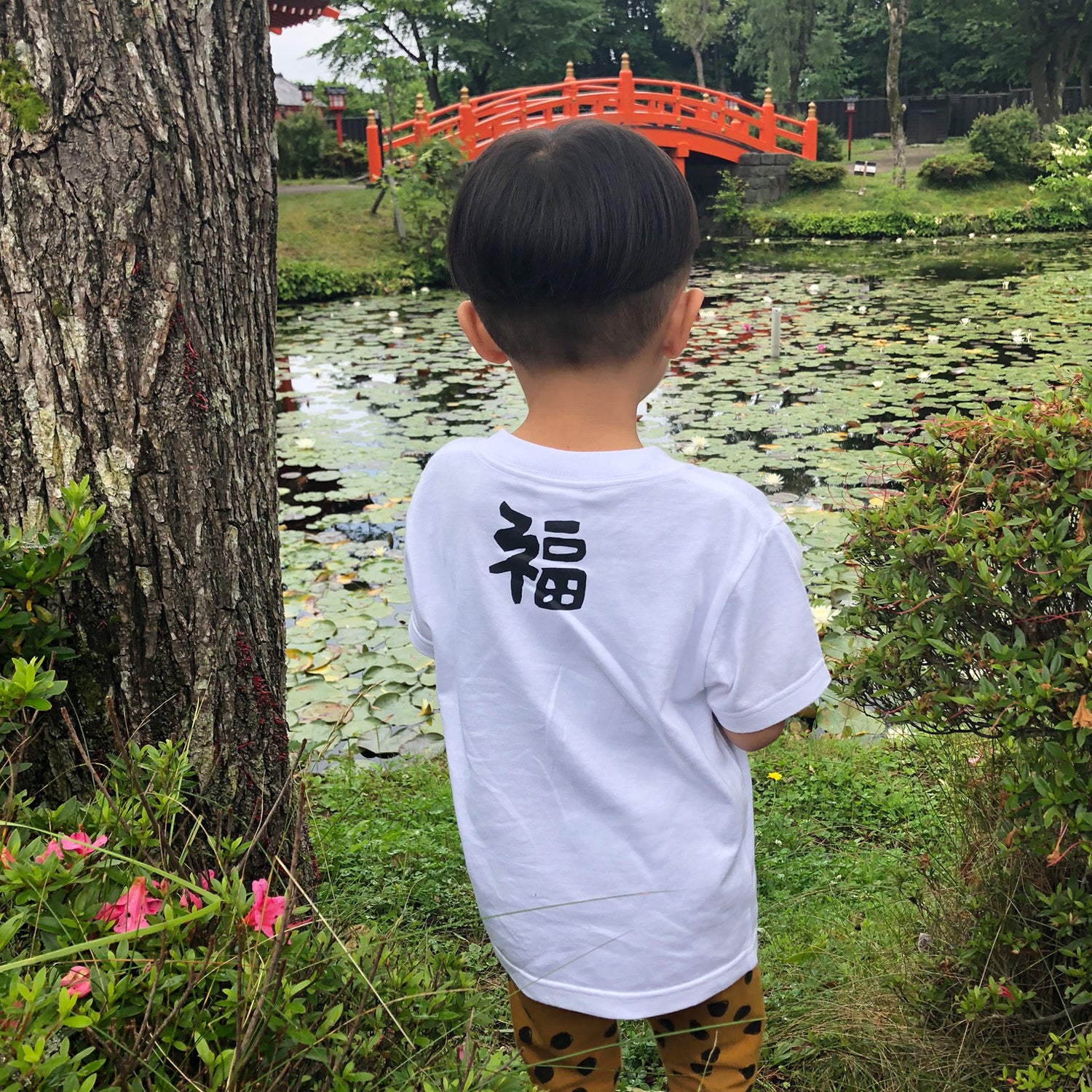 だるま キッズ Tシャツ くろ