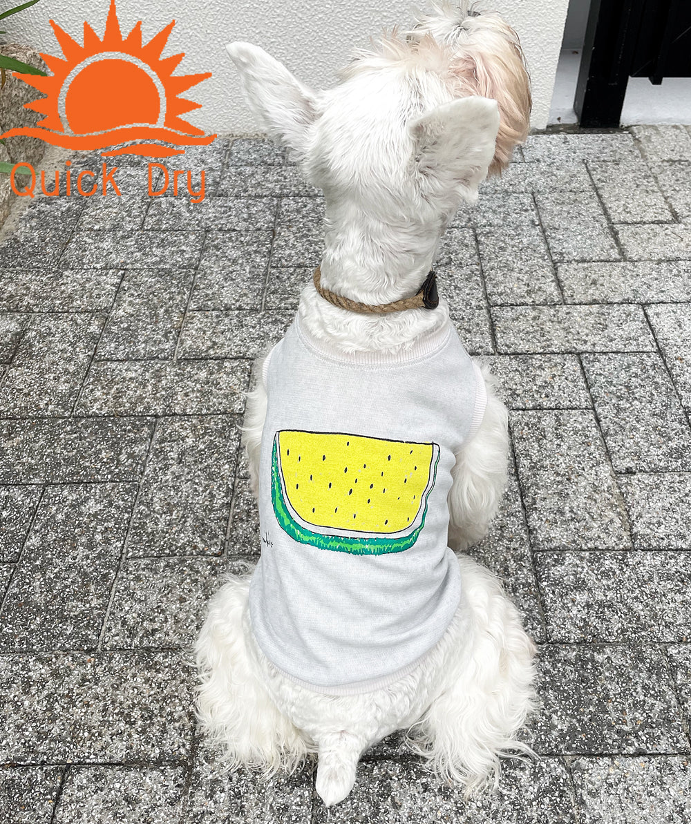 DOGすいかドライTシャツ 袖なし Ash あか