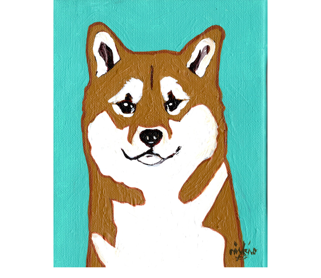 柴犬