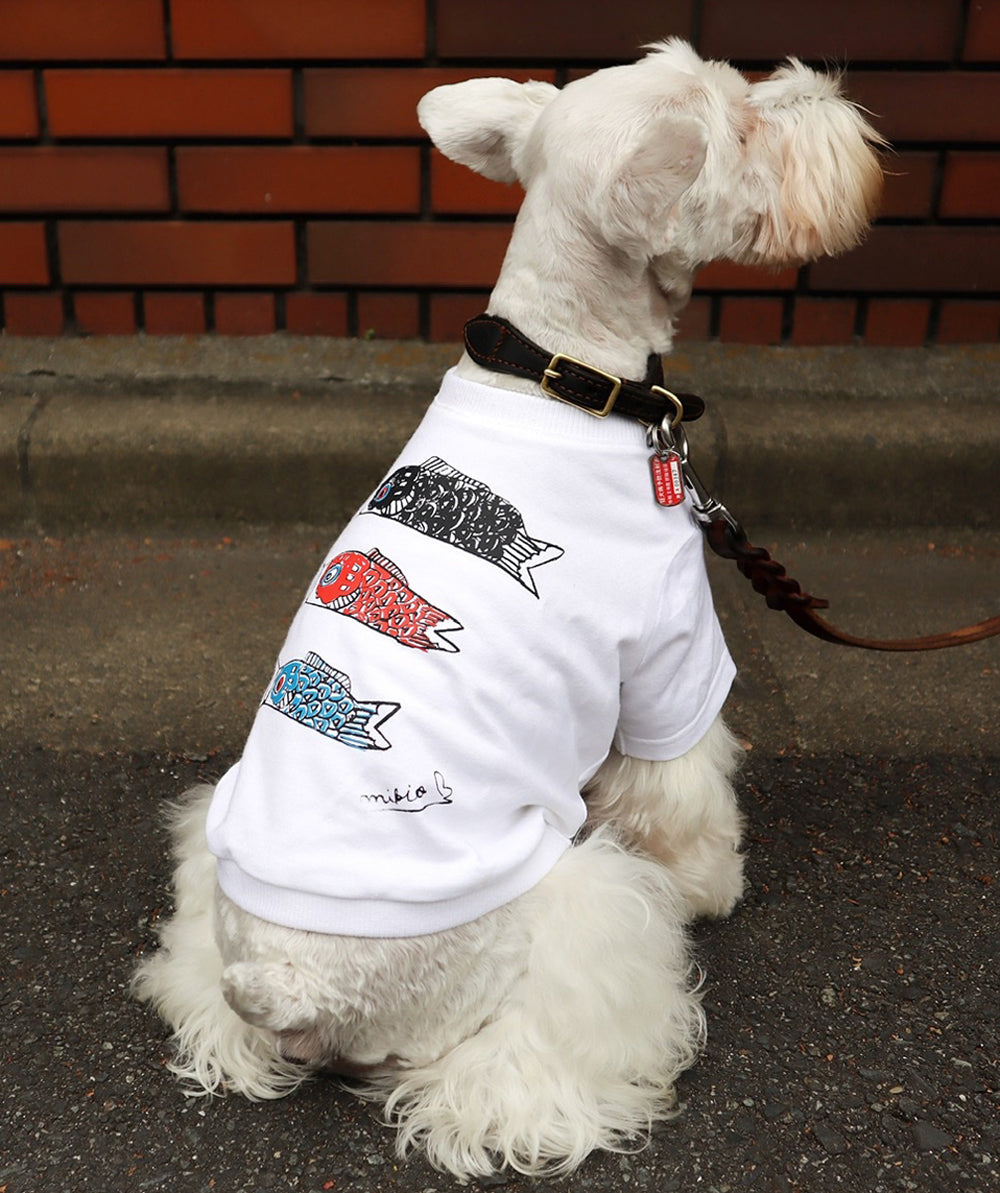 Koinobori Dog&