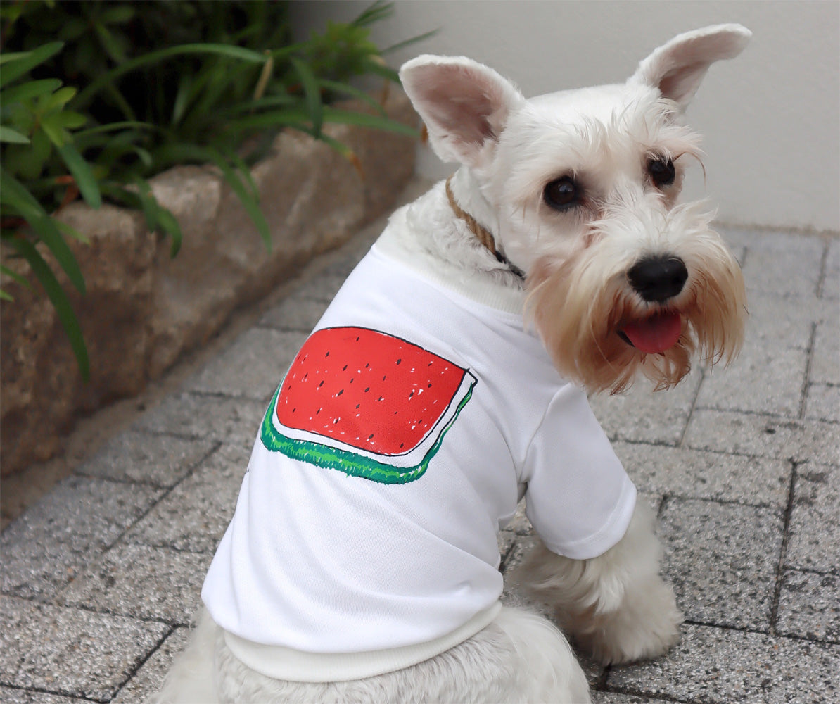 Kodomoparadis｜親子で着れるお揃いTシャツ｜犬用Tシャツ