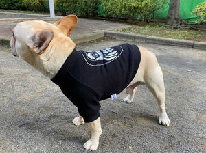 Daruma Dog's Sweatshirt Black