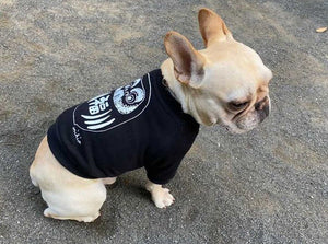 Daruma Dog's Sweatshirt Navy