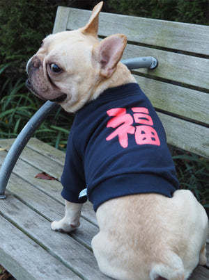 福 FUKU Dog's Sweatshirt Black