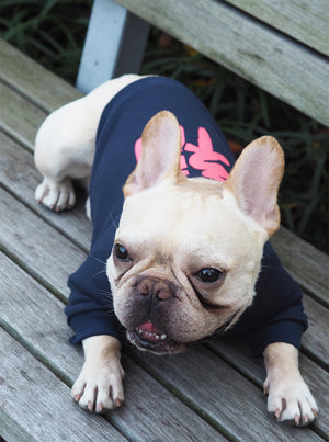 福 FUKU Dog's Sweatshirt Navy