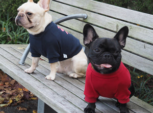 福 FUKU Dog's Sweatshirt Red