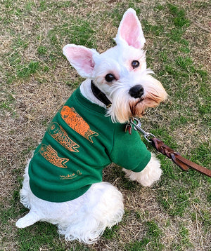 Koinobori Dog's Sweatshirt