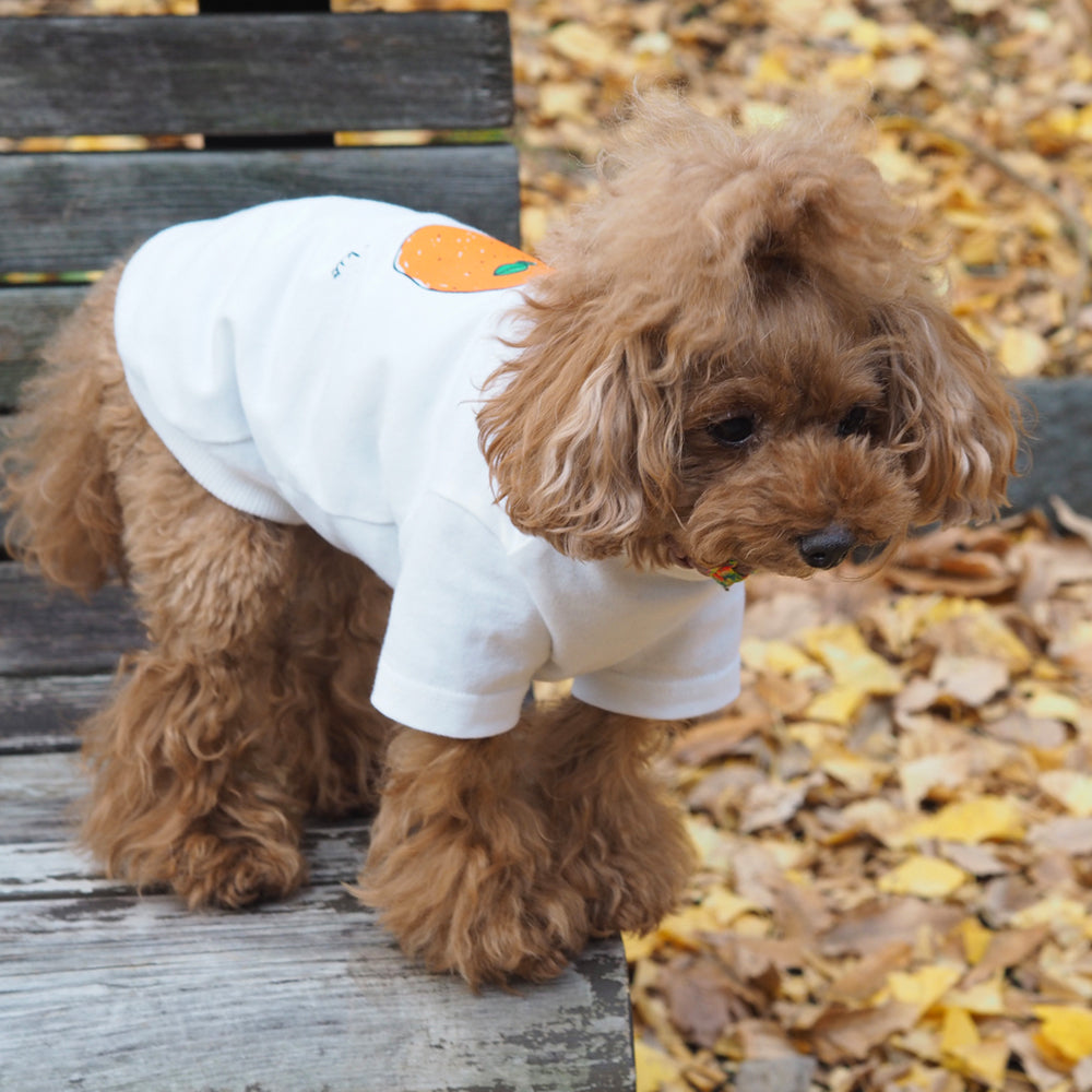 Mikan Dog&