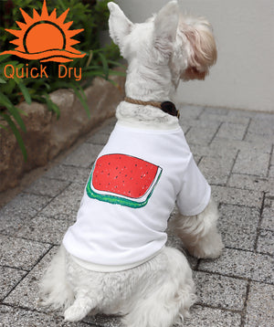Watermelon DRY Dog's T-shirt White