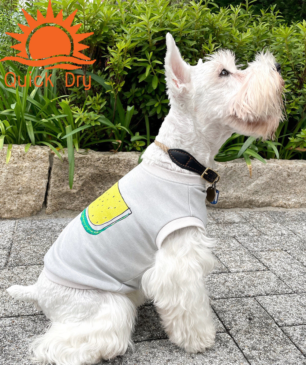 犬用 すいかドライシャツ 袖なし Ash